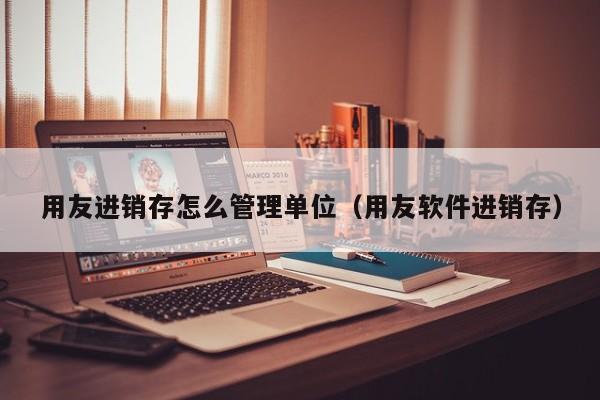 用友进销存怎么管理单位（用友软件进销存）