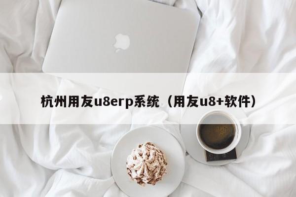 杭州用友u8erp系统（用友u8+软件）