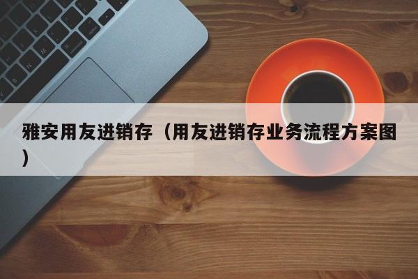 雅安用友进销存（用友进销存业务流程方案图）