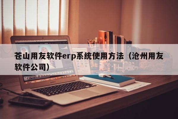 苍山用友软件erp系统使用方法（沧州用友软件公司）