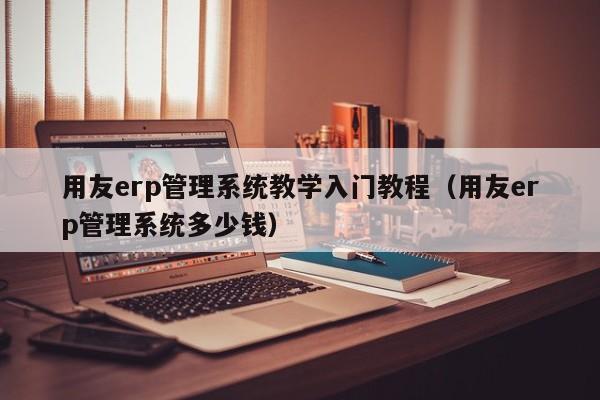 用友erp管理系统教学入门教程（用友erp管理系统多少钱）