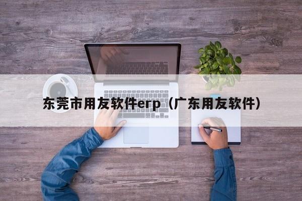 东莞市用友软件erp（广东用友软件）