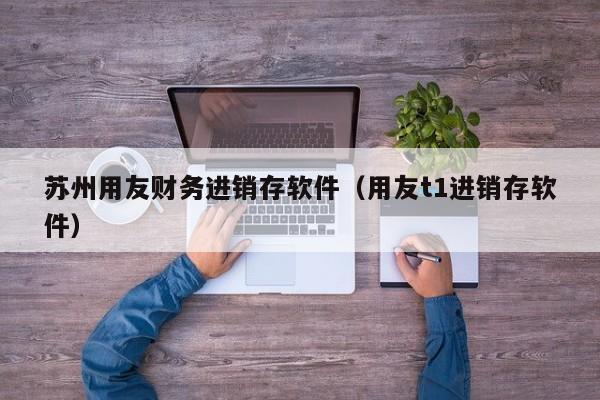 苏州用友财务进销存软件（用友t1进销存软件）