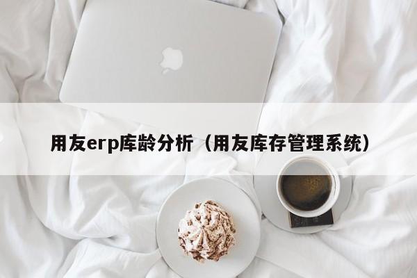 用友erp库龄分析（用友库存管理系统）