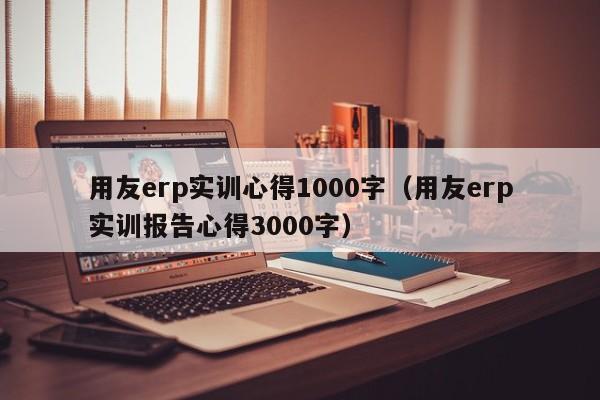 用友erp实训心得1000字（用友erp实训报告心得3000字）