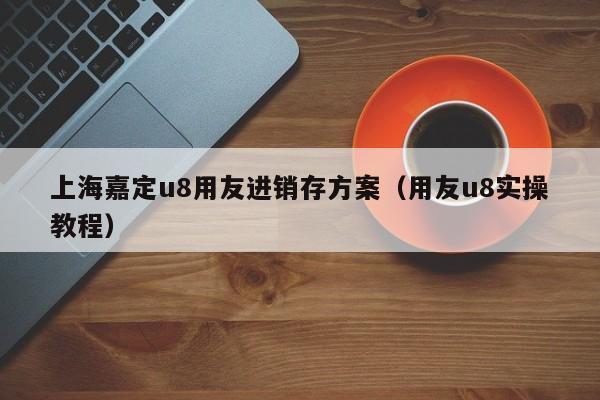 上海嘉定u8用友进销存方案（用友u8实操教程）