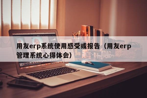 用友erp系统使用感受或报告（用友erp管理系统心得体会）