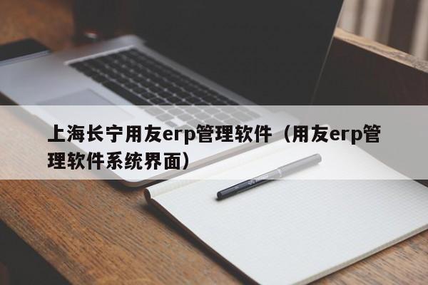 上海长宁用友erp管理软件（用友erp管理软件系统界面）