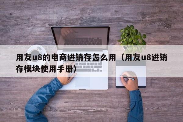 用友u8的电商进销存怎么用（用友u8进销存模块使用手册）