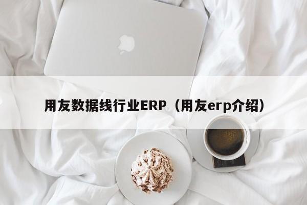 用友数据线行业ERP（用友erp介绍）