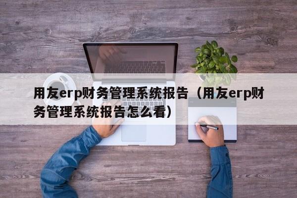 用友erp财务管理系统报告（用友erp财务管理系统报告怎么看）