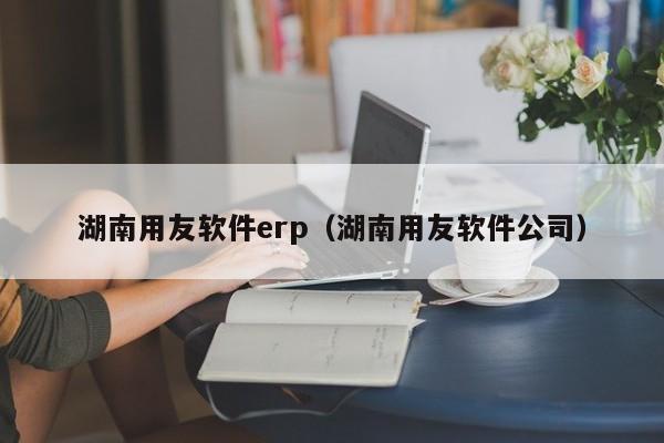 湖南用友软件erp（湖南用友软件公司）