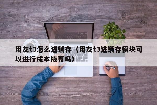 用友t3怎么进销存（用友t3进销存模块可以进行成本核算吗）