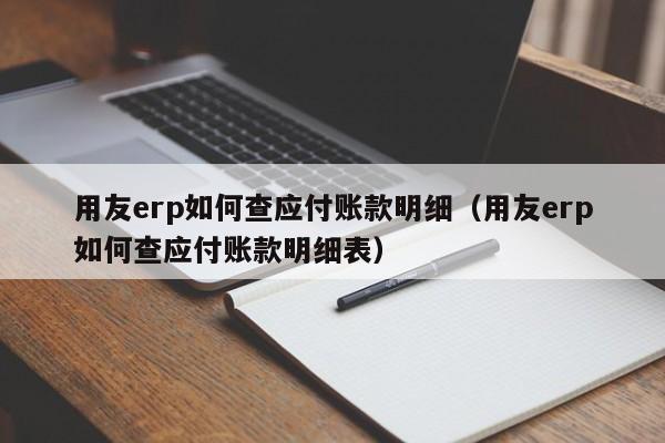 用友erp如何查应付账款明细（用友erp如何查应付账款明细表）