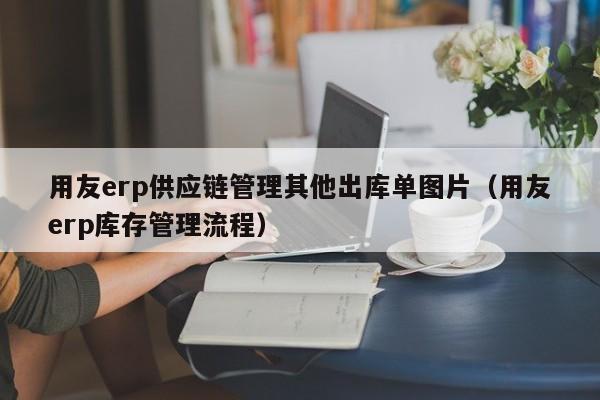 用友erp供应链管理其他出库单图片（用友erp库存管理流程）