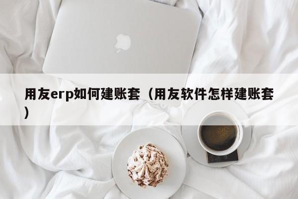 用友erp如何建账套（用友软件怎样建账套）