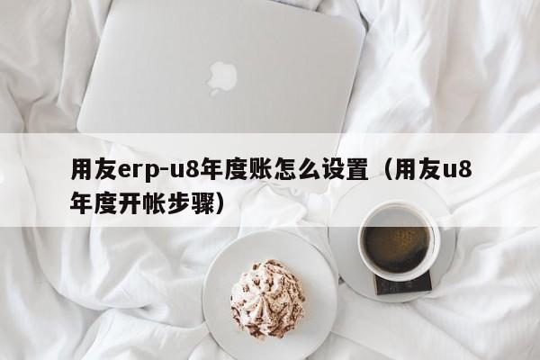 用友erp-u8年度账怎么设置（用友u8年度开帐步骤）