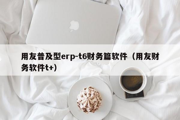 用友普及型erp-t6财务篇软件（用友财务软件t+）