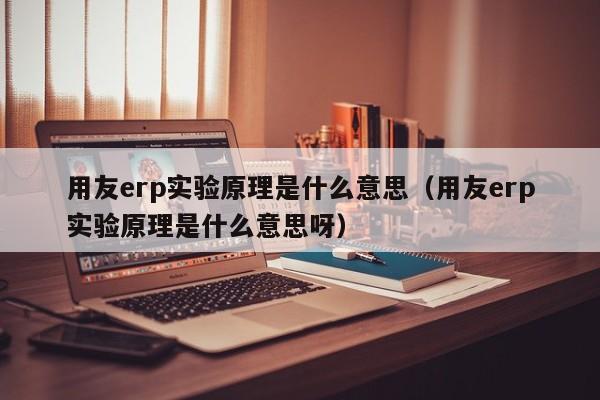 用友erp实验原理是什么意思（用友erp实验原理是什么意思呀）