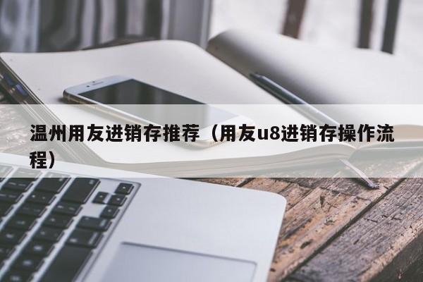 温州用友进销存推荐（用友u8进销存操作流程）