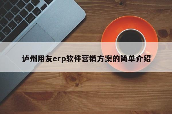 泸州用友erp软件营销方案的简单介绍