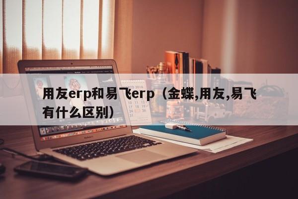 用友erp和易飞erp（金蝶,用友,易飞有什么区别）