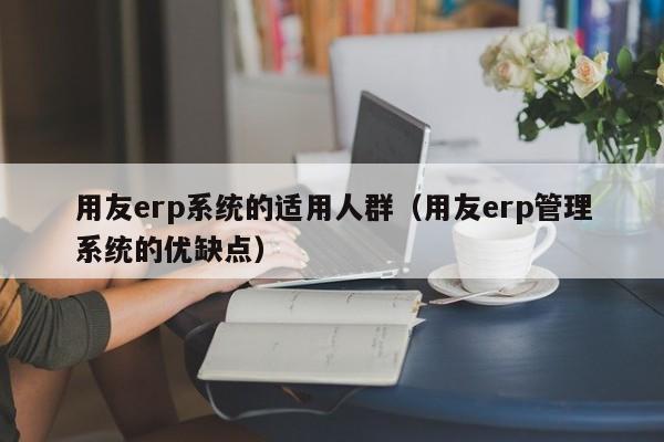 用友erp系统的适用人群（用友erp管理系统的优缺点）