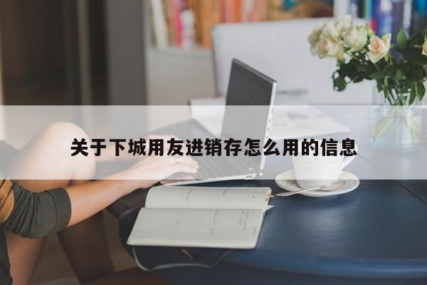 关于下城用友进销存怎么用的信息