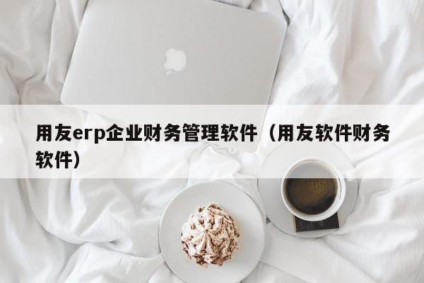 用友erp企业财务管理软件（用友软件财务软件）