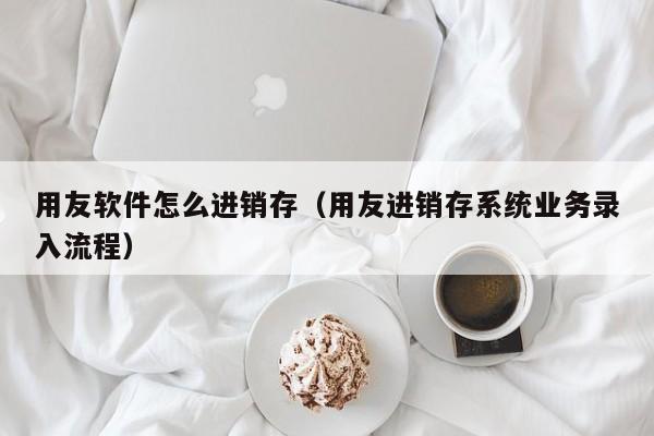 用友软件怎么进销存（用友进销存系统业务录入流程）