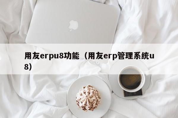 用友erpu8功能（用友erp管理系统u8）