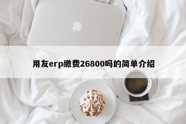 用友erp缴费26800吗的简单介绍