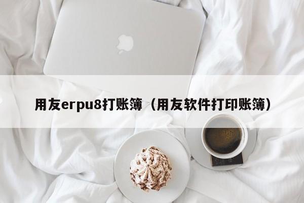 用友erpu8打账簿（用友软件打印账簿）