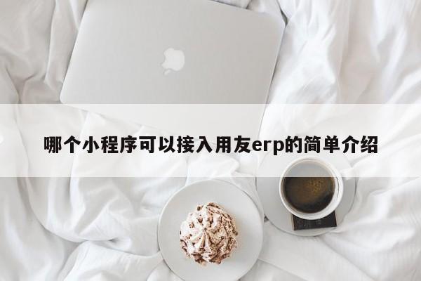 哪个小程序可以接入用友erp的简单介绍