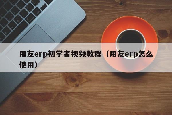 用友erp初学者视频教程（用友erp怎么使用）