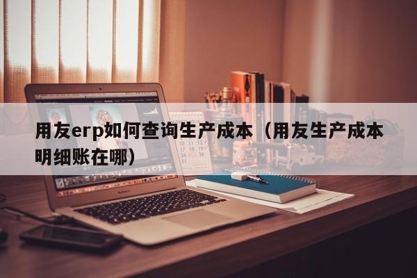 用友erp如何查询生产成本（用友生产成本明细账在哪）