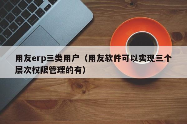 用友erp三类用户（用友软件可以实现三个层次权限管理的有）