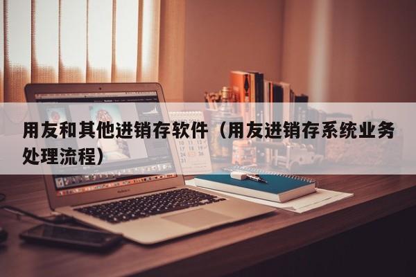 用友和其他进销存软件（用友进销存系统业务处理流程）