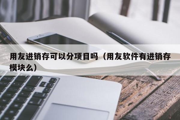 用友进销存可以分项目吗（用友软件有进销存模块么）