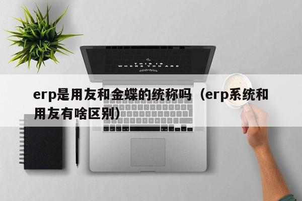 erp是用友和金蝶的统称吗（erp系统和用友有啥区别）