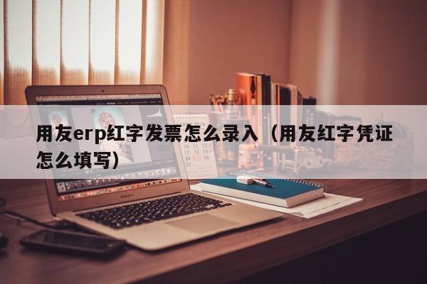 用友erp红字发票怎么录入（用友红字凭证怎么填写）