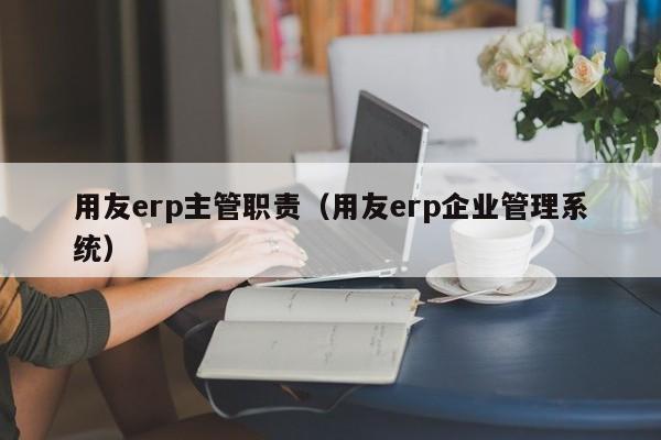 用友erp主管职责（用友erp企业管理系统）