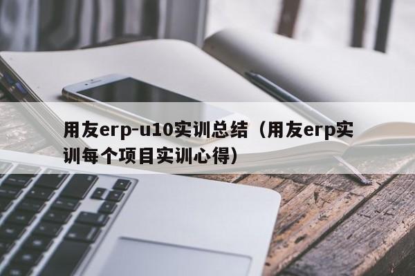 用友erp-u10实训总结（用友erp实训每个项目实训心得）