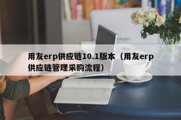 用友erp供应链10.1版本（用友erp供应链管理采购流程）