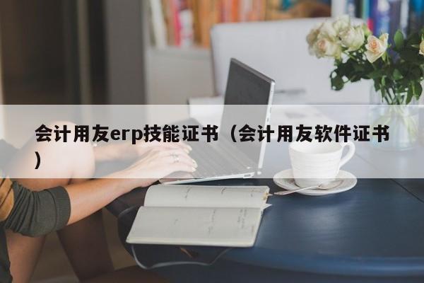 会计用友erp技能证书（会计用友软件证书）