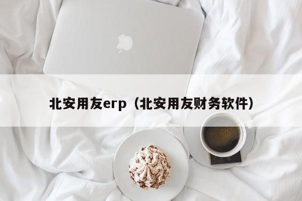 北安用友erp（北安用友财务软件）