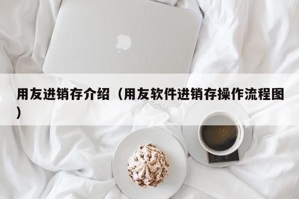 用友进销存介绍（用友软件进销存操作流程图）