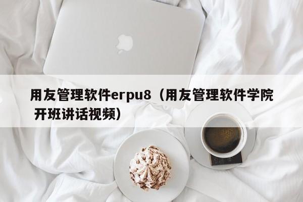 用友管理软件erpu8（用友管理软件学院 开班讲话视频）