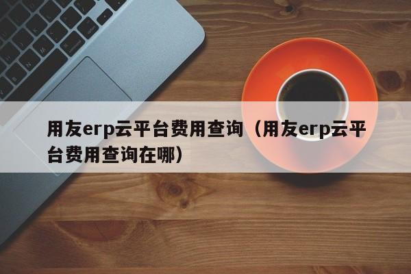 用友erp云平台费用查询（用友erp云平台费用查询在哪）