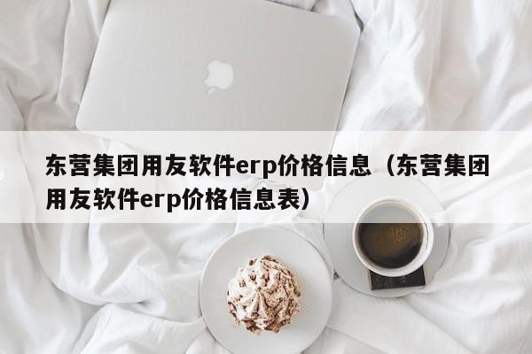 东营集团用友软件erp价格信息（东营集团用友软件erp价格信息表）